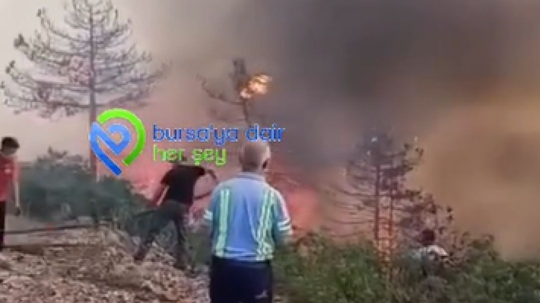 Bursa'da Orhaneli - Harmancık yolu üzerinde orman yangını! - 4