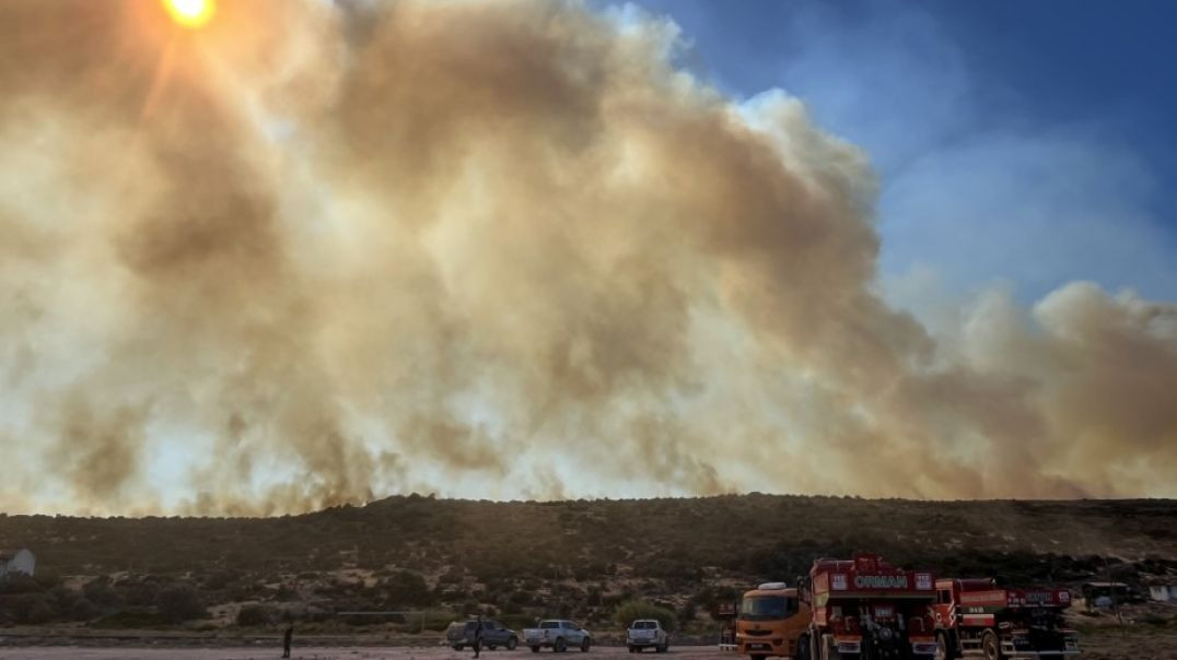 Çeşme yangını Urla'ya sıçradı: Mahalle tahliye ediliyor!