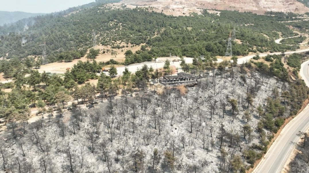 Gürsu'nun ciğeri yandı: Tarihinin En büyük yangını havadan böyle görüntülendi