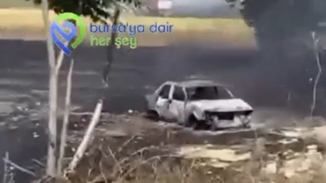 Bursa orman yangınıyla savaşırken anız yandı: Felaket son anda önlendi!