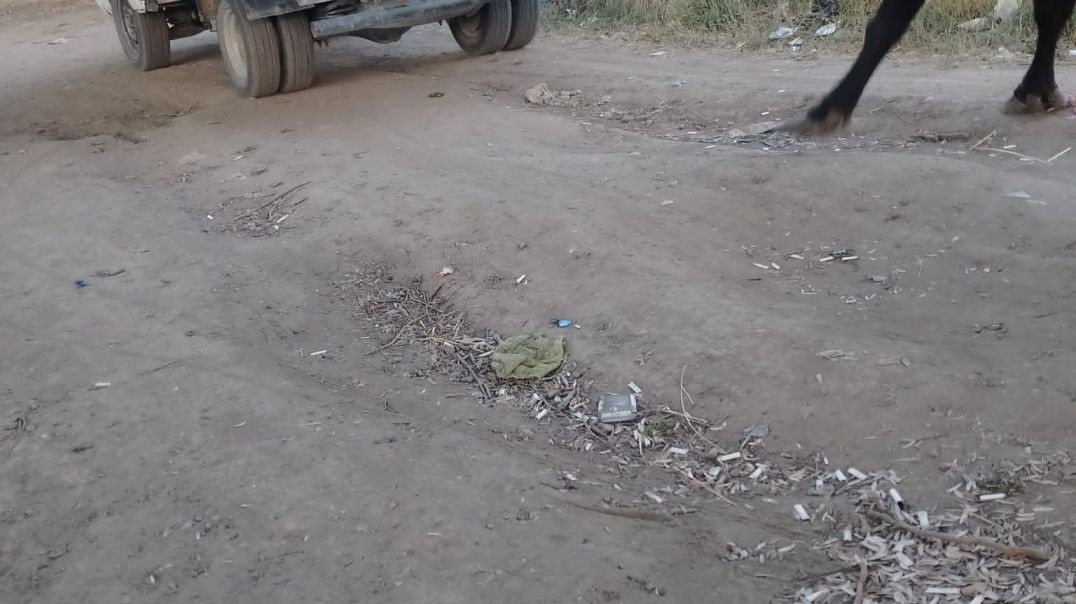 Bursa'da vicdan yoksunu şahıs büyükbaş hayvanı sürükleyerek sopayla dövdü!