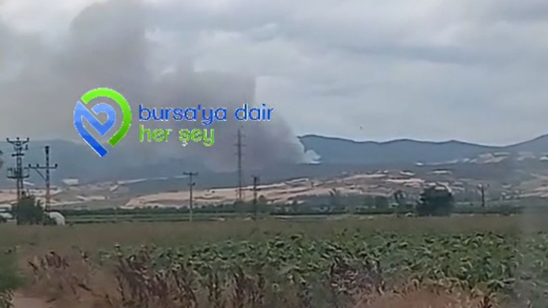 Bursa Yenişehir'de orman yangını!