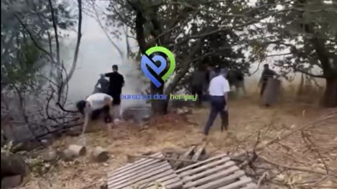 Bursa'da ağaçlık alanda çıkan yangın için mahalleli seferber oldu