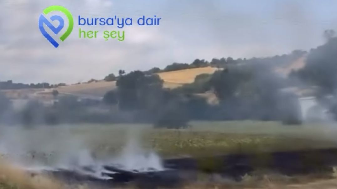 Yenişehir-Marmaracık yolu üzerinde yangın!