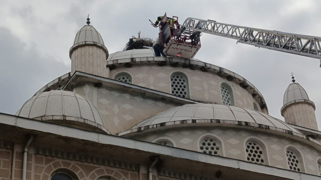İznik’te cami kubbesinde mahsur kalan leyleğin imdadına koştu