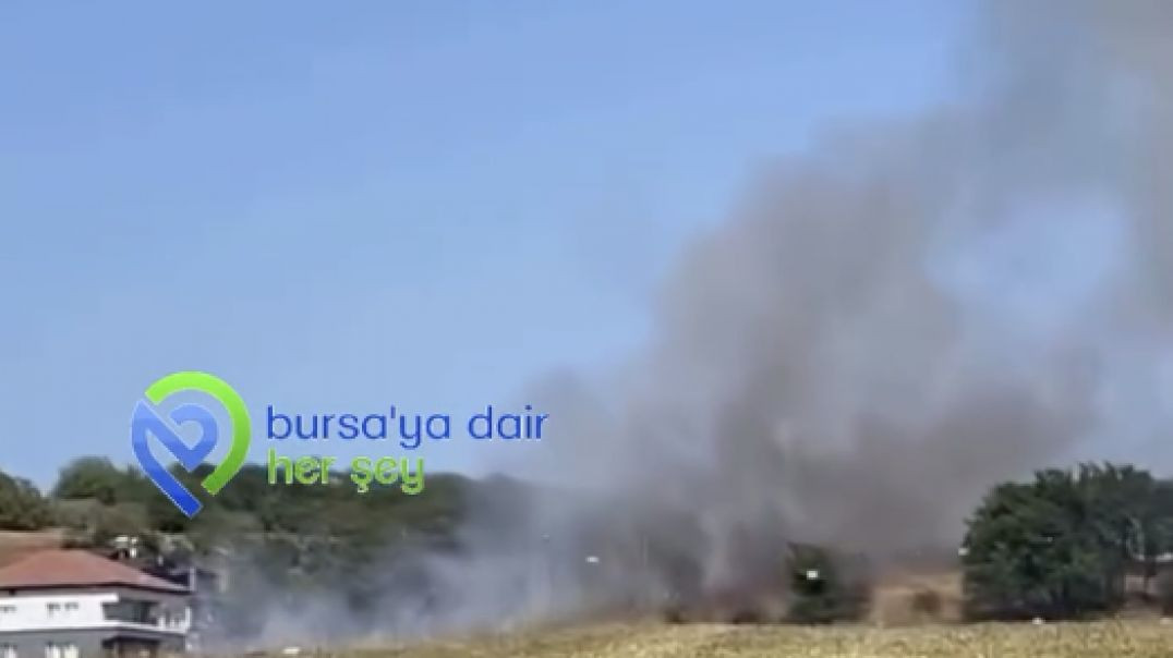 Bursa'da anız yangını: Dumanlar yükseldi!
